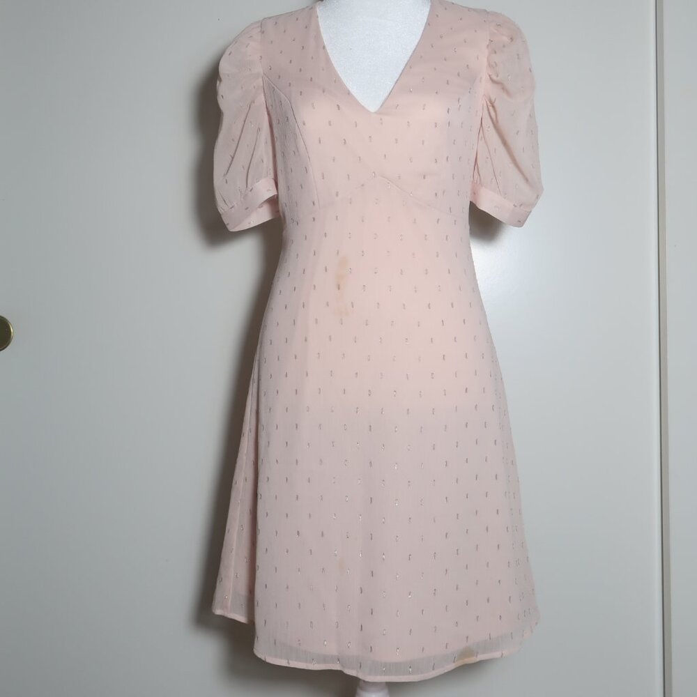 Express Puff Sleeve Pink Skater Dress